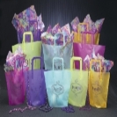 Retail Shopping Bags